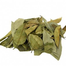 DRIED SOURSOP LEAVE